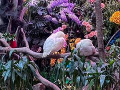 -正佳雨林生态植物园