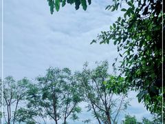 -抚仙湖禄充风景区