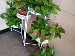 -德克士(益庄北国店)