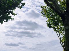-上海山野camping·户外天幕烧烤·团建拓展营地