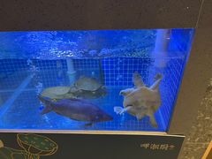 -呷湘厨·鱼汤捞饭·剁椒鱼头·辣椒炒肉(国家会展中心店)