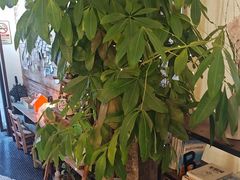 -雕刻时光·无国界料理西餐厅(五山店)