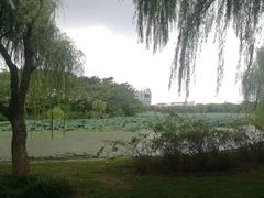 -东华大学(松江校区)