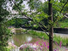 -白水寺森林公园