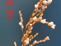 -江南里·新浙菜(苏州大悦城店)