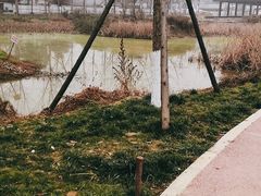-三圣花乡旅游区