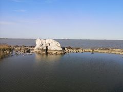 -上海吴淞炮台湾国家湿地公园