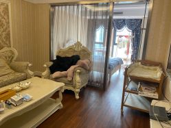 -大美臻喜母婴(重庆创始店)