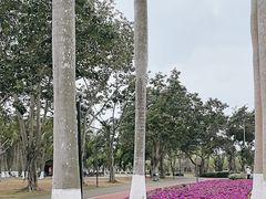 -万绿园