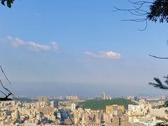 -阳台山森林公园
