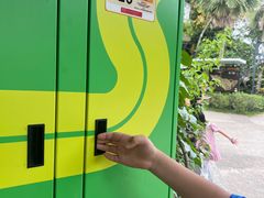 -圣淘沙天际线斜坡滑车