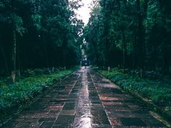 -灵谷景区