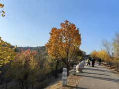 -乌素图国家森林公园
