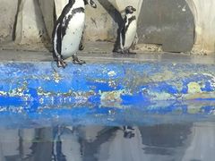 -太平洋海底世界