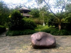 android_upload_pic-走马楼饭庄(慈城古县城店)