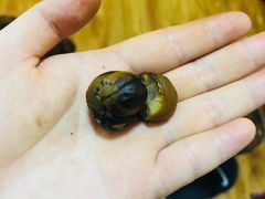 -傻二甘栗糖球