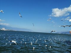 -大理洱海