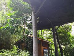 -成都市活水公园