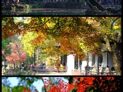 -惠山古镇·寄畅园