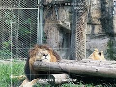 -上海野生动物园