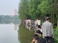 -重庆彩云湖湿地公园