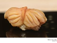 -鮨然(然寿司钱粮胡同店)