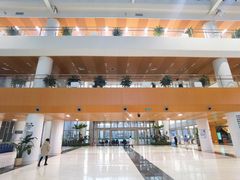 -首都医科大学附属北京同仁医院(南区)