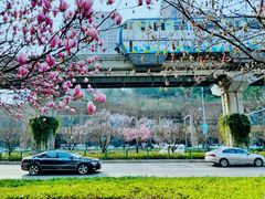 -万达广场(巴南店)