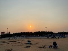 -日照海滨国家森林公园