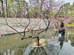 -静安雕塑公园