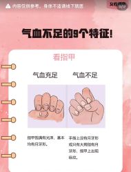 -Fundi张玉珊修身堂·indiba·BTL科技瘦身