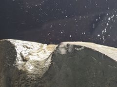 -阳明祠