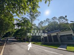 -火炉山森林公园