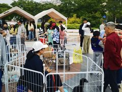 -仲盛世界商城