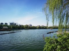 -济南大明湖景区