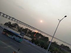 -宝安西湾红树林湿地公园