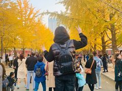 -辽宁大学(崇山校区)