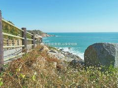 -广东惠东海龟国家级自然保护区