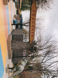 -大望京儿童游乐场