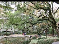 -香港大学