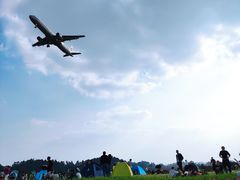 -空港花田景区