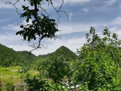-王顺山国家森林公园