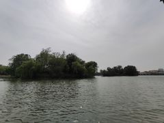 -莱西月湖公园