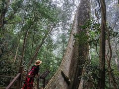 -中国科学院西双版纳热带植物园