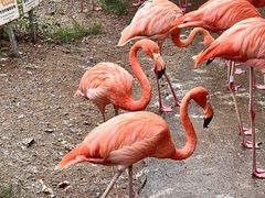 -青岛森林野生动物世界