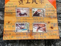 -柳州市动物园