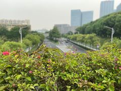 -玉树公园