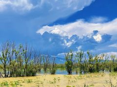 -野鸭湖国家湿地公园