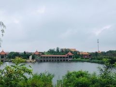 -日照海滨国家森林公园