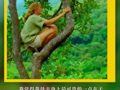 -万达影城(锦华万达广场IMAX店)